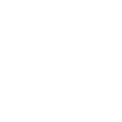 Paver catalog icon