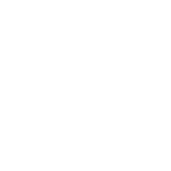 Years of experience icon